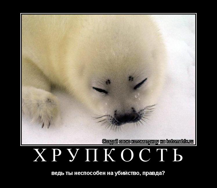 ХРУПКОСТЬ ведь ты неспособен на убийство, правда?... Котоматрица: ХРУПКОСТЬ ведь ты неспособен на убийство, правда?