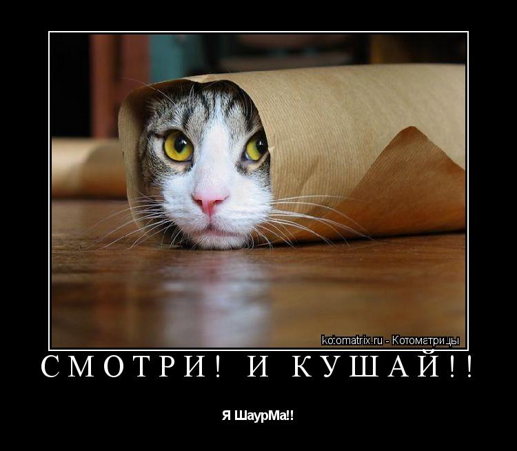 Смотри! и Кушай!! Я ШаурМа!!... Котоматрица: Смотри! и Кушай!! Я ШаурМа!!