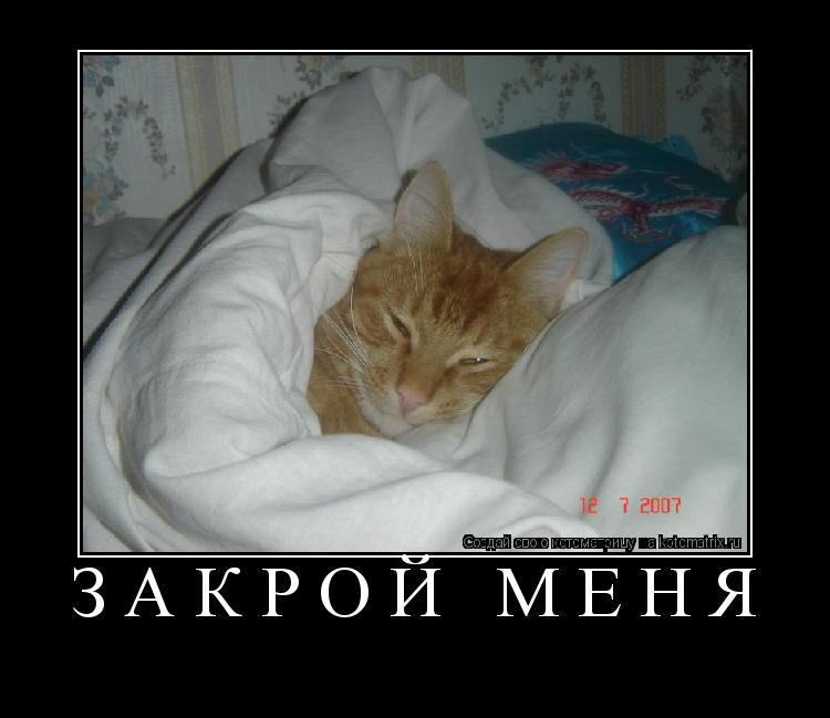 закрой меня ... Котоматрица: закрой меня
