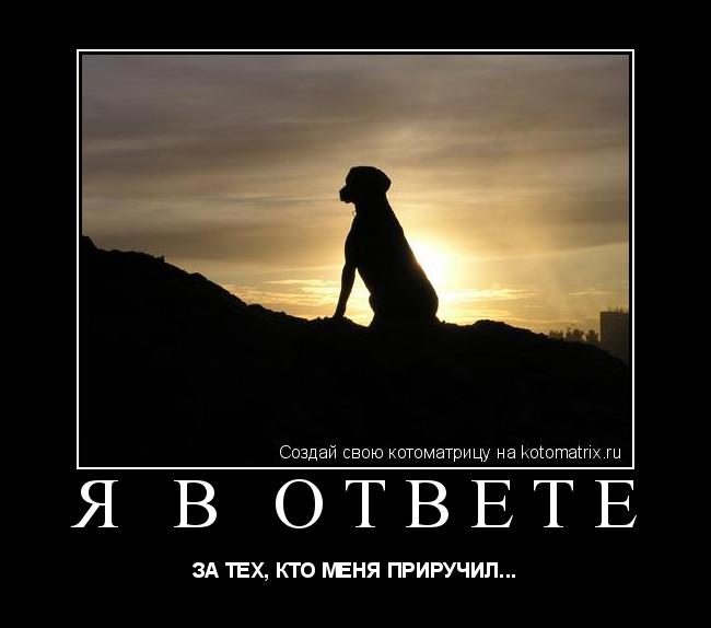 Котоматрица: Я в ответе ЗА ТЕХ, КТО МЕНЯ ПРИРУЧИЛ...