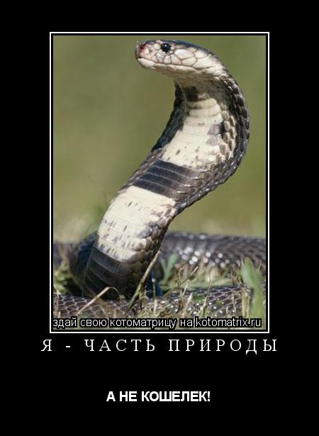 Я - ЧАСТЬ ПРИРОДЫ А НЕ КОШЕЛЕК!... Котоматрица: Я - ЧАСТЬ ПРИРОДЫ А НЕ КОШЕЛЕК!