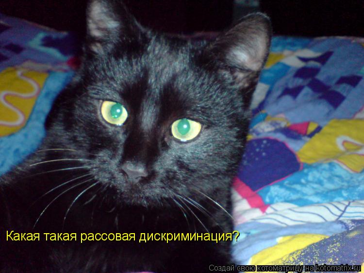 Какая такая рассовая дискриминация?... Котоматрица: Какая такая рассовая дискриминация?