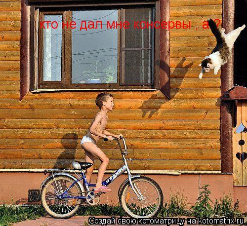 кто не дал мне консервы , а ?... Котоматрица: кто не дал мне консервы , а ?