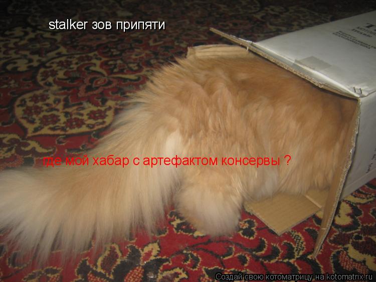 stalker зов припяти где мой хабар с артефактом консервы ?... Котоматрица: stalker зов припяти где мой хабар с артефактом консервы ?