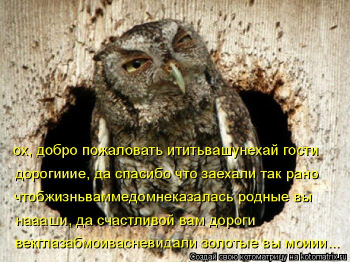 ох, добро пожаловать ититьвашунехай гости чтобжизньваммедомнеказалась родные вы наааши, да счастливо... Котоматрица: ох, добро пожаловать ититьвашунехай гости чтобжизньваммедомнеказалась родные вы наааши, да счастливой вам дороги векглазабмоивасневида