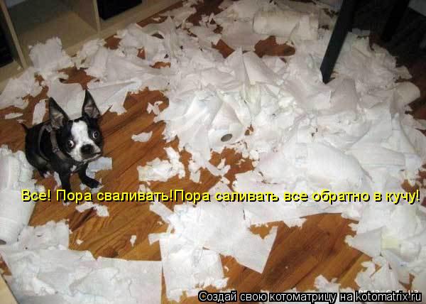 Все! Пора сваливать!Пора саливать все обратно в кучу!... Котоматрица: Все! Пора сваливать!Пора саливать все обратно в кучу!
