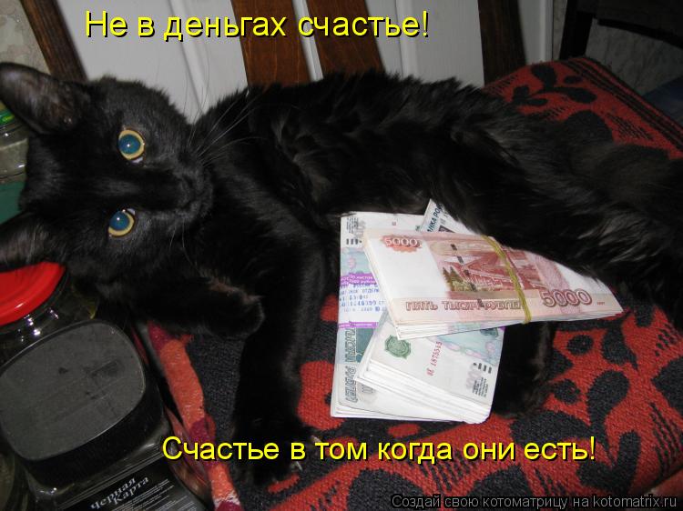 Не в деньгах счастье! Счастье в том когда они есть!... Котоматрица: Не в деньгах счастье! Счастье в том когда они есть!
