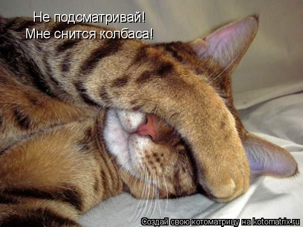Не подсматривай! Мне снится колбаса!... Котоматрица: Не подсматривай! Мне снится колбаса!