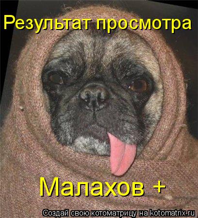 Результат просмотра Малахов +... Котоматрица: Результат просмотра Малахов +