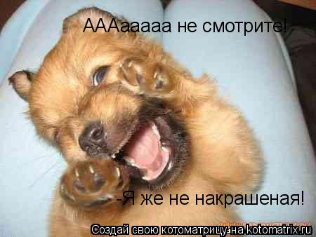 АААааааа не смотрите! -Я же не накрашеная!... Котоматрица: АААааааа не смотрите! -Я же не накрашеная!