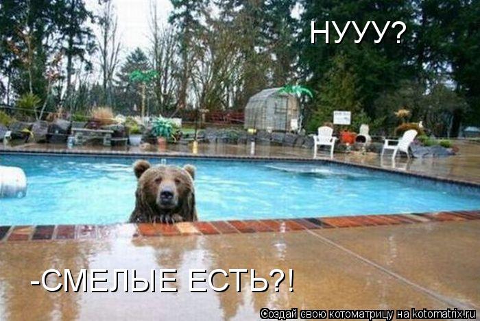 НУУУ? -СМЕЛЫЕ ЕСТЬ?!... Котоматрица: НУУУ? -СМЕЛЫЕ ЕСТЬ?!