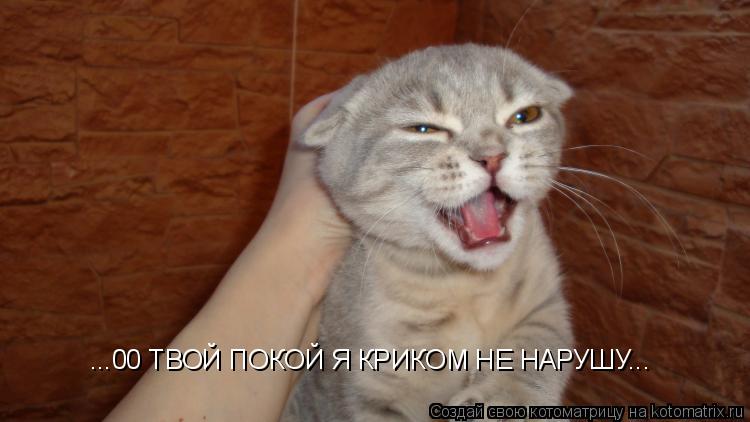 ...00 ТВОЙ ПОКОЙ Я КРИКОМ НЕ НАРУШУ...... Котоматрица: ...00 ТВОЙ ПОКОЙ Я КРИКОМ НЕ НАРУШУ...