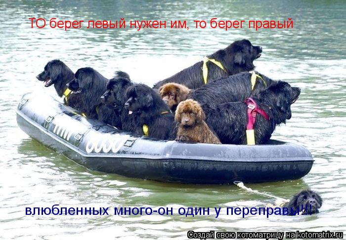 ТО берег левый нужен им, то берег правый влюбленных много-он один у переправы!!!... Котоматрица: ТО берег левый нужен им, то берег правый влюбленных много-он один у переправы!!!
