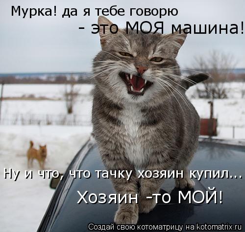 Мурка! да я тебе говорю - это МОЯ машина! Ну и что, что тачку хозяин купил... Хозяин -то МОЙ!... Котоматрица: Мурка! да я тебе говорю - это МОЯ машина! Ну и что, что тачку хозяин купил... Хозяин -то МОЙ!