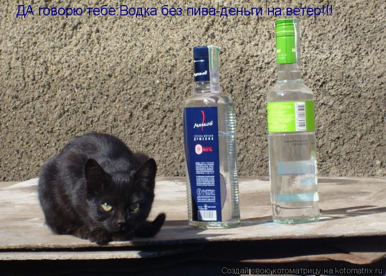 ДА говорю тебе:Водка без пива-деньги на ветер!!!... Котоматрица: ДА говорю тебе:Водка без пива-деньги на ветер!!!