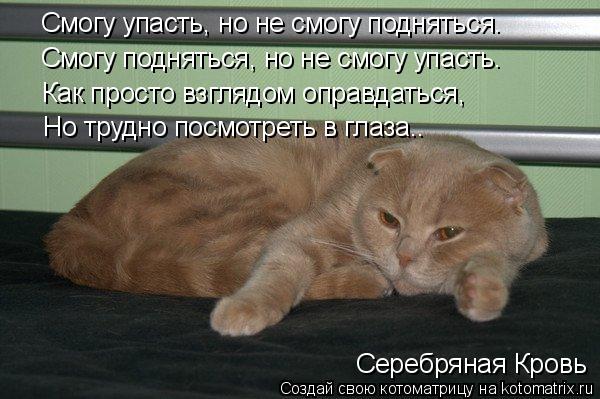 Смогу упасть, но не смогу подняться. Смогу подняться, но не смогу упасть. Как просто взглядом оправда... Котоматрица: Смогу упасть, но не смогу подняться. Смогу подняться, но не смогу упасть. Как просто взглядом оправдаться, Но трудно посмотреть в глаза.. Сер