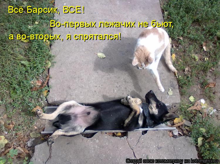 Во-первых лежачих не бьют, а во-вторых, я спрятался! Всё Барсик, ВСЕ!... Котоматрица: Во-первых лежачих не бьют, а во-вторых, я спрятался! Всё Барсик, ВСЕ!