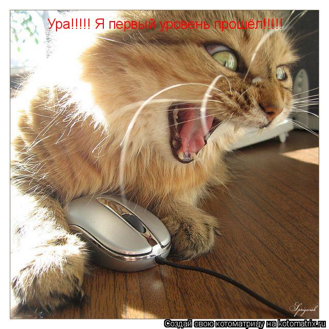 Ура!!!!! Я первый уровень прошёл!!!!!... Котоматрица: Ура!!!!! Я первый уровень прошёл!!!!!