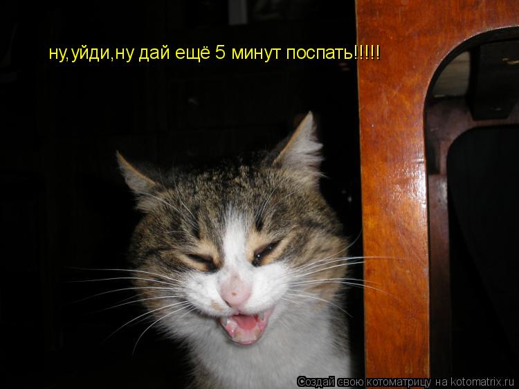 ну,уйди,ну дай ещё 5 минут поспать!!!!!... Котоматрица: ну,уйди,ну дай ещё 5 минут поспать!!!!!