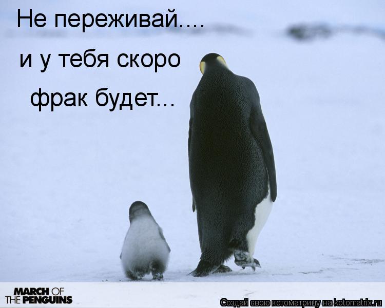 Не переживай.... и у тебя скоро фрак будет...... Котоматрица: Не переживай.... и у тебя скоро фрак будет...