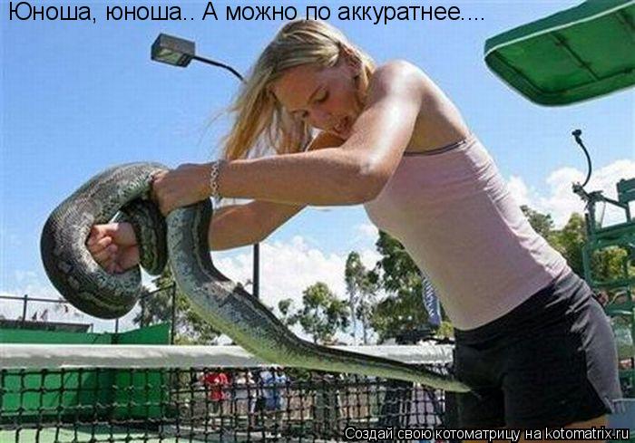 Юноша, юноша.. А можно по аккуратнее....... Котоматрица: Юноша, юноша.. А можно по аккуратнее....