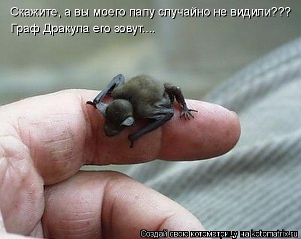 Скажите, а вы моего папу случайно не видили??? Граф Дракула его зовут....... Котоматрица: Скажите, а вы моего папу случайно не видили??? Граф Дракула его зовут....