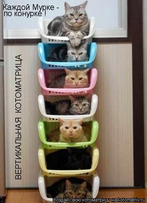 Каждой Мурке - по конурке ! ВЕРТИКАЛЬНАЯ КОТОМАТРИЦА... Котоматрица: Каждой Мурке - по конурке ! ВЕРТИКАЛЬНАЯ КОТОМАТРИЦА