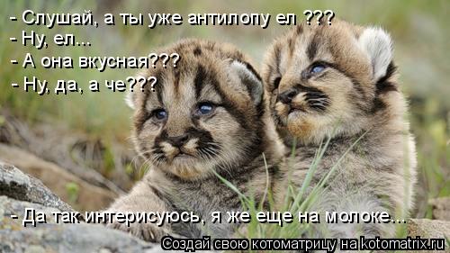 - Слушай, а ты уже антилопу ел ??? - Ну, ел... - А она вкусная??? - Ну, да, а че??? - Да так интерис... Котоматрица: - Слушай, а ты уже антилопу ел ??? - Ну, ел... - А она вкусная??? - Ну, да, а че??? - Да так интерисуюсь, я же еще на молоке...