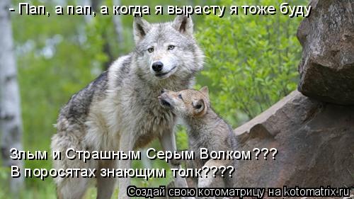 - Пап, а пап, а когда я вырасту я тоже буду Злым и Страшным Серым Волком??? В поросятах знающим толк?... Котоматрица: - Пап, а пап, а когда я вырасту я тоже буду Злым и Страшным Серым Волком??? В поросятах знающим толк????