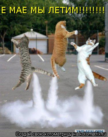 Е МАЕ МЫ ЛЕТИМ!!!!!!!!... Котоматрица: Е МАЕ МЫ ЛЕТИМ!!!!!!!!