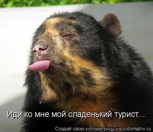 Иди ко мне мой сладенький турист....... Котоматрица: Иди ко мне мой сладенький турист....
