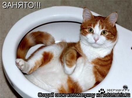 ЗАНЯТО!!!... Котоматрица: ЗАНЯТО!!!