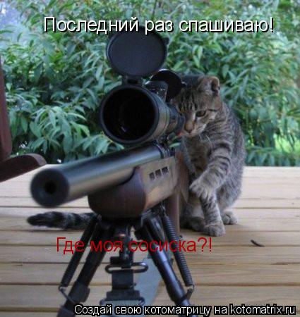 Последний раз спашиваю! Где моя сосиска?!... Котоматрица: Последний раз спашиваю! Где моя сосиска?!