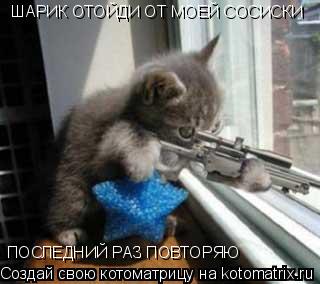 ШАРИК ОТОЙДИ ОТ МОЕЙ СОСИСКИ ПОСЛЕДНИЙ РАЗ ПОВТОРЯЮ... Котоматрица: ШАРИК ОТОЙДИ ОТ МОЕЙ СОСИСКИ ПОСЛЕДНИЙ РАЗ ПОВТОРЯЮ