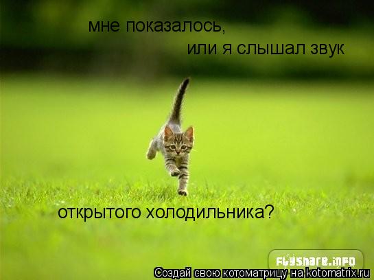 мне показалось, или я слышал звук открытого холодильника?... Котоматрица: мне показалось, или я слышал звук открытого холодильника?