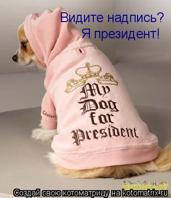 Видите надпись? Я президент!... Котоматрица: Видите надпись? Я президент!