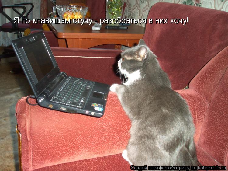 Я по клавишам стучу - разобраться в них хочу!... Котоматрица: Я по клавишам стучу - разобраться в них хочу!