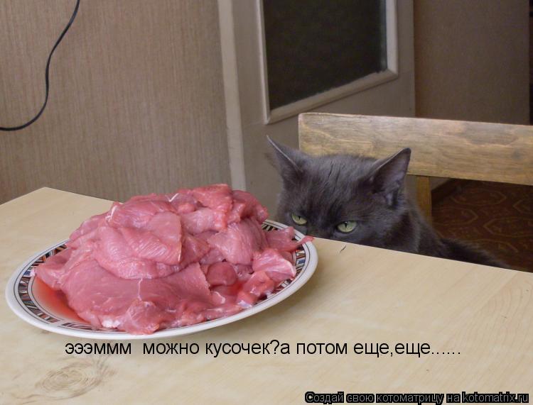 эээммм можно кусочек?а потом еще,еще......... Котоматрица: эээммм можно кусочек?а потом еще,еще......