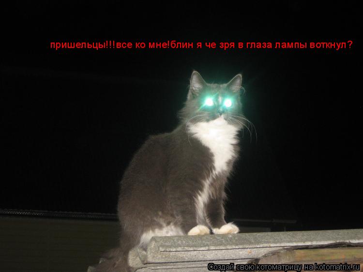 пришельцы!!!все ко мне!блин я че зря в глаза лампы воткнул?... Котоматрица: пришельцы!!!все ко мне!блин я че зря в глаза лампы воткнул?