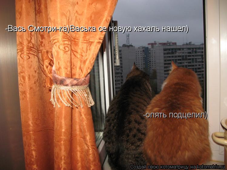 -Вась Смотри-ка)Васька се новую хахаль нашел) -опять подцепил)... Котоматрица: -Вась Смотри-ка)Васька се новую хахаль нашел) -опять подцепил)