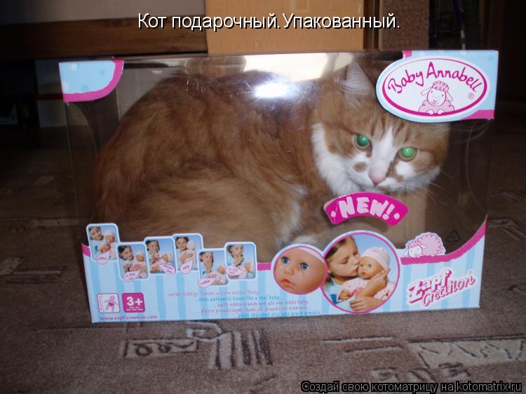 Кот подарочный.Упакованный.... Котоматрица: Кот подарочный.Упакованный.