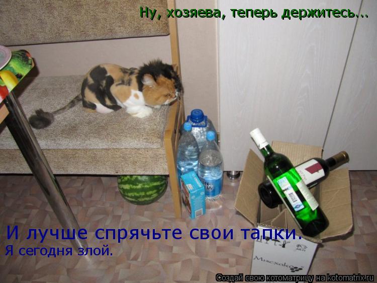 Ну, хозяева, теперь держитесь... И лучше спрячьте свои тапки. Я сегодня злой.... Котоматрица: Ну, хозяева, теперь держитесь... И лучше спрячьте свои тапки. Я сегодня злой.