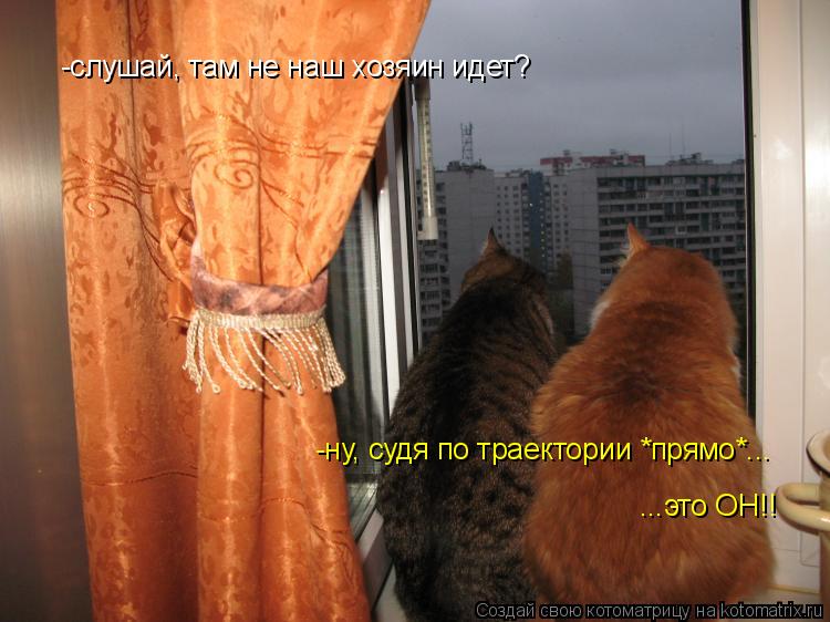 -слушай, там не наш хозяин идет? -ну, судя по траектории *прямо*... ...это ОН!!... Котоматрица: -слушай, там не наш хозяин идет? -ну, судя по траектории *прямо*... ...это ОН!!