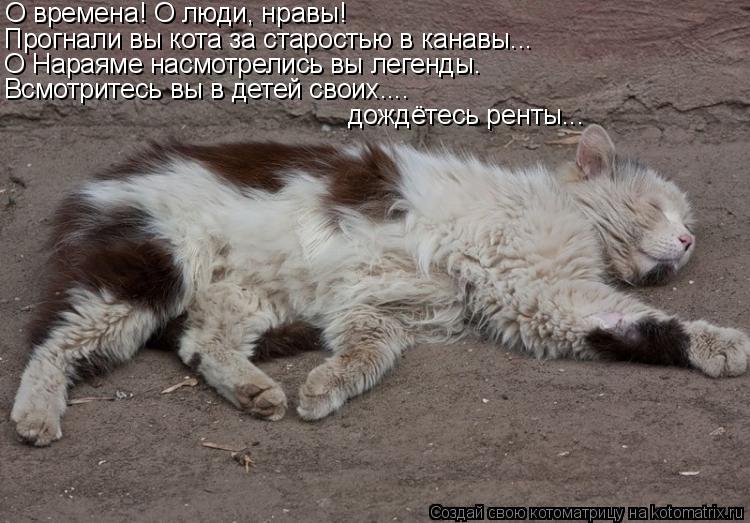 О времена! О люди, нравы! О Нараяме насмотрелись вы легенды. Всмотритесь вы в детей своих.... дождёте... Котоматрица: О времена! О люди, нравы! О Нараяме насмотрелись вы легенды. Всмотритесь вы в детей своих.... дождётесь ренты... Прогнали вы кота за старостью в