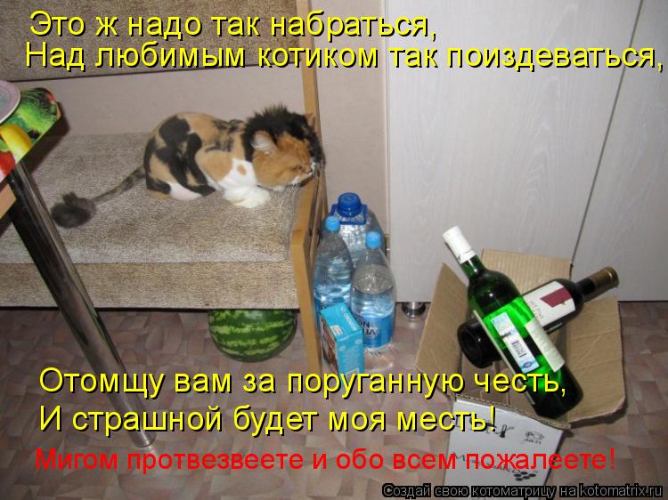 Это ж надо так набраться, Над любимым котиком так поиздеваться, Отомщу вам за поруганную честь, И ст... Котоматрица: Это ж надо так набраться, Над любимым котиком так поиздеваться, Отомщу вам за поруганную честь, И страшной будет моя месть! Мигом протвезве