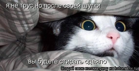 я не трус ,но после своей шутки вы будете стирать одеяло... Котоматрица: я не трус ,но после своей шутки вы будете стирать одеяло