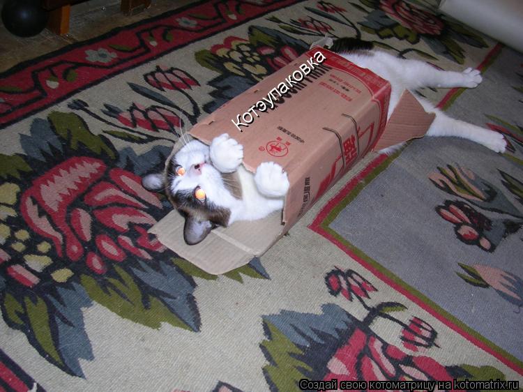 Котэупаковка... Котоматрица: Котэупаковка