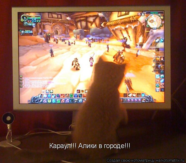 Караул!!! Алики в городе!!!... Котоматрица: Караул!!! Алики в городе!!!