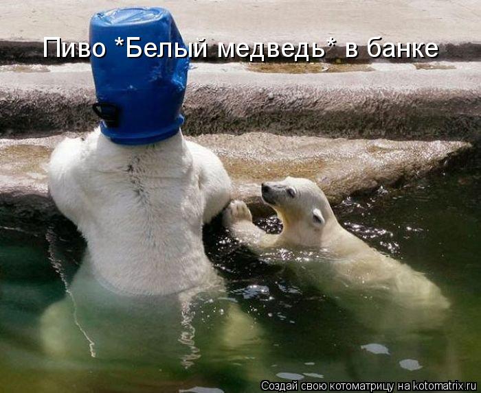 Пиво *Белый медведь* в банке... Котоматрица: Пиво *Белый медведь* в банке