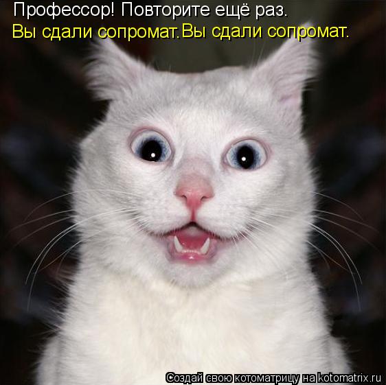 Профессор! Повторите ещё раз. Вы сдали сопромат. Вы сдали сопромат.... Котоматрица: Профессор! Повторите ещё раз. Вы сдали сопромат. Вы сдали сопромат.